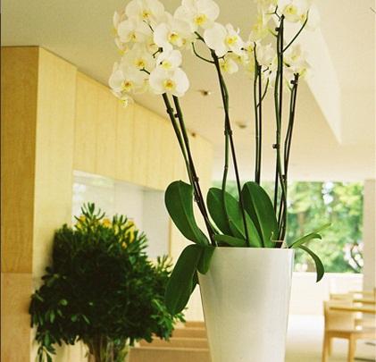 Inlima Hotel & Spa 폰테 데 리마 내부 사진